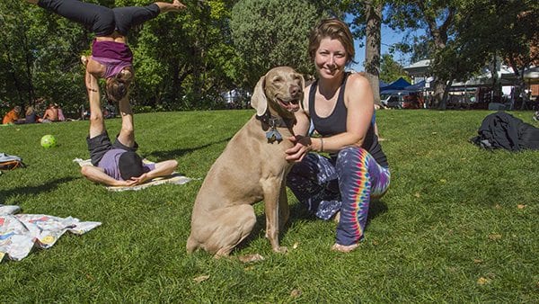 The Farmers' Market and Central Park are also a very popular spots for dogs to do yoga with their owners. (Photo: Joseph Wirth) 