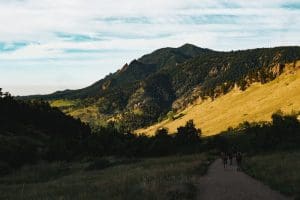 people walking on pathway