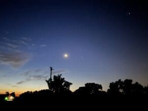 Planetary alignment at dawn. tress backlit. sky red-blue at the bottom, fading to black at the top, Venus, rising in the east, has just come up. I think Saturn is next,