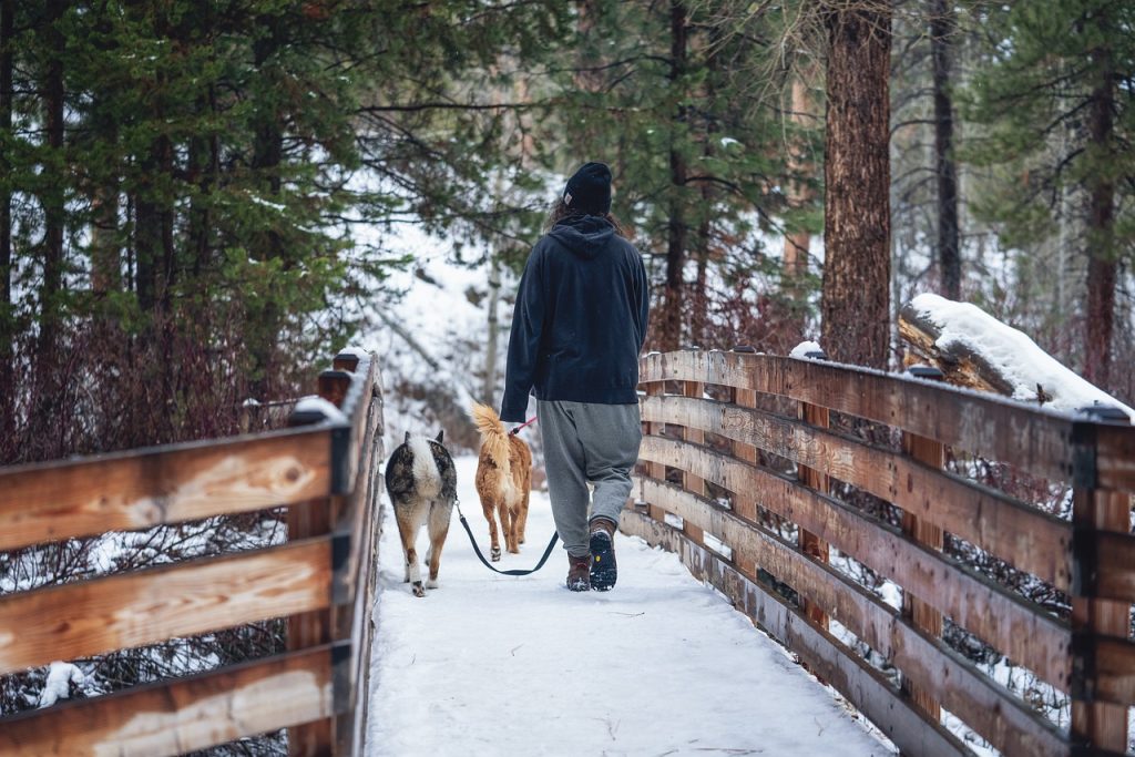 Top 5 Winter Hikes in Boulder, Colorado