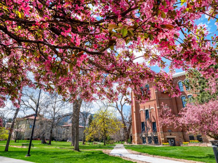 Exploring the Natural Beauty of University of Colorado Boulder: A Campus Like No Other