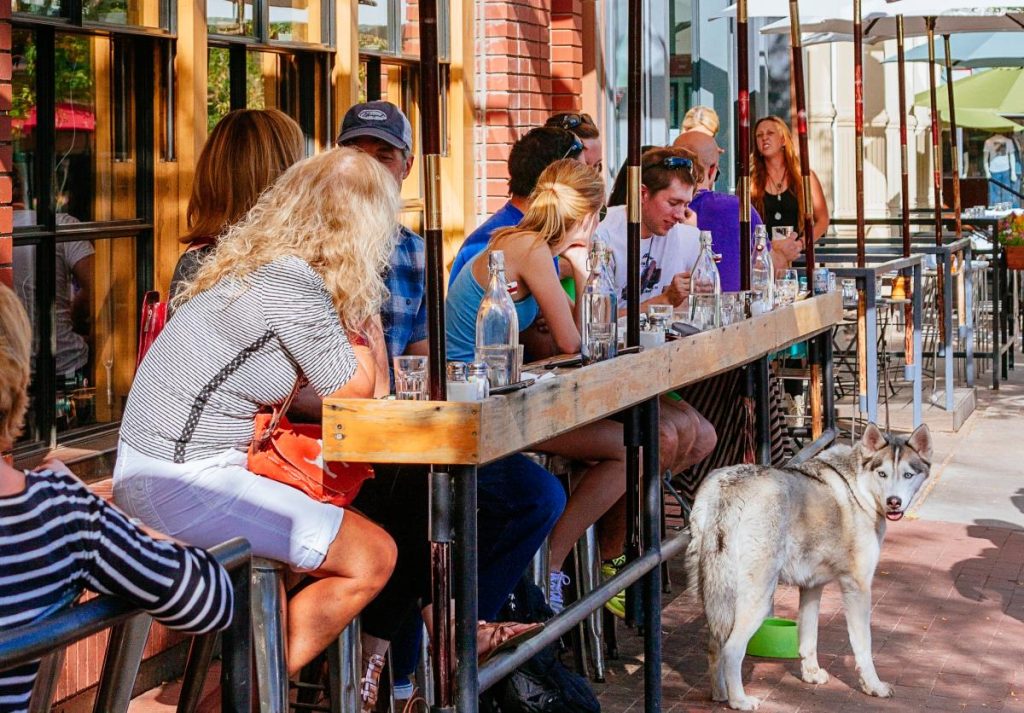 Paws and Plates: The Top Dog-Friendly Dining Destinations in Boulder, Colorado