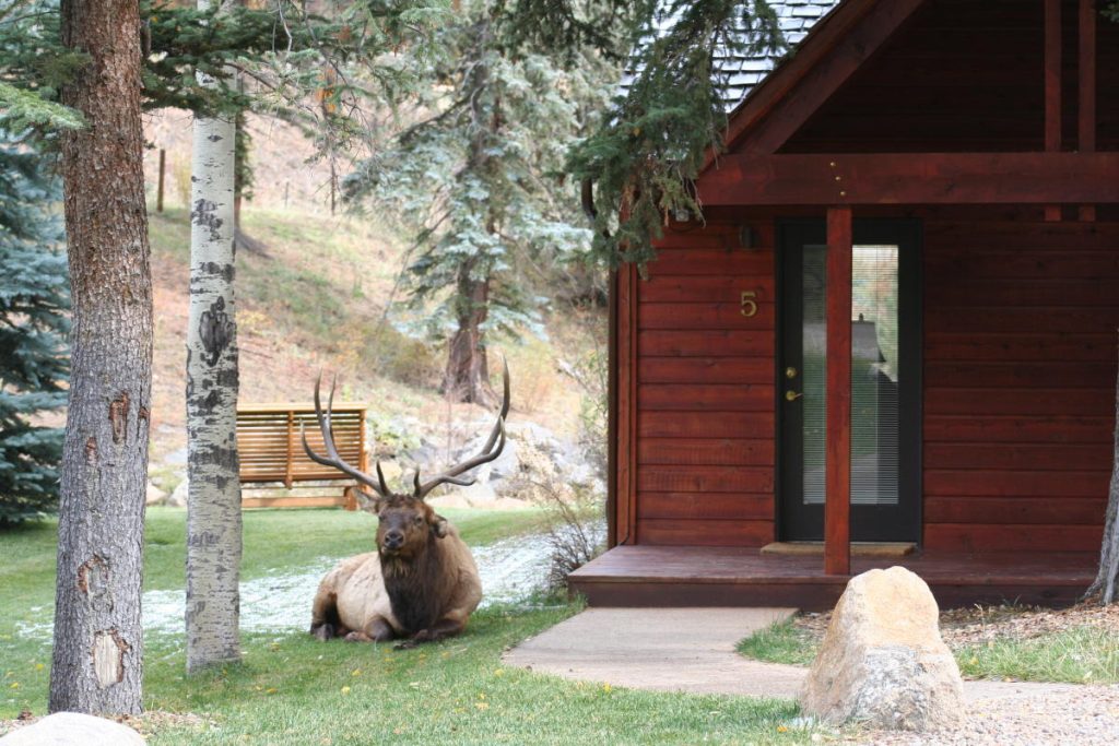 Unwind and Reconnect: Why Boulderbrook in Estes Park is the Ultimate Getaway Cabin on the River