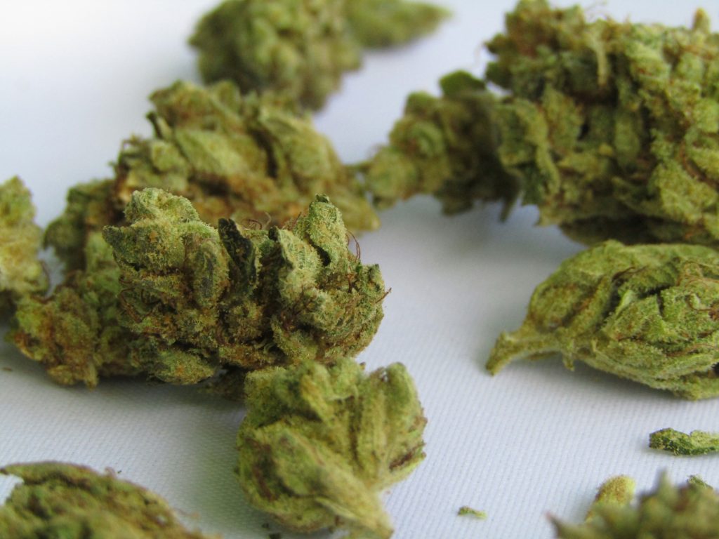 The Entourage Effect: Exploring the Relationship Between Marijuana and Terpenes