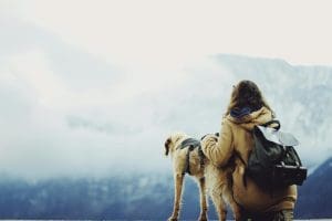 4 Things to Consider When You’re Going Hiking With Your Dog - AboutBoulder.com