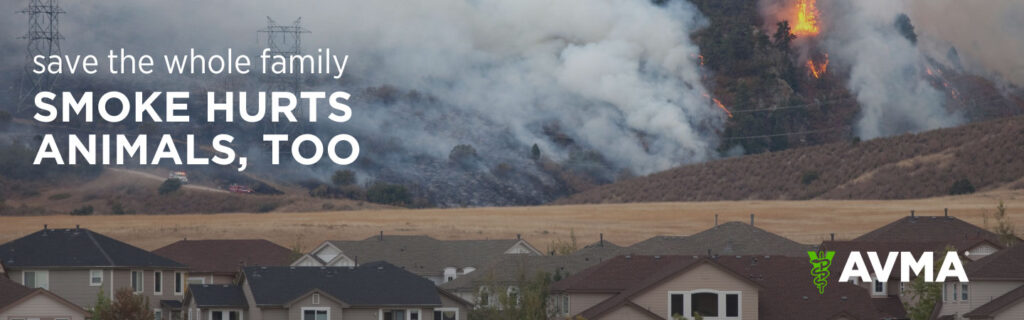 Surviving the Smoke: Five Essential Tips for Protecting Your Family and Home from Wildfire Smoke in Boulder