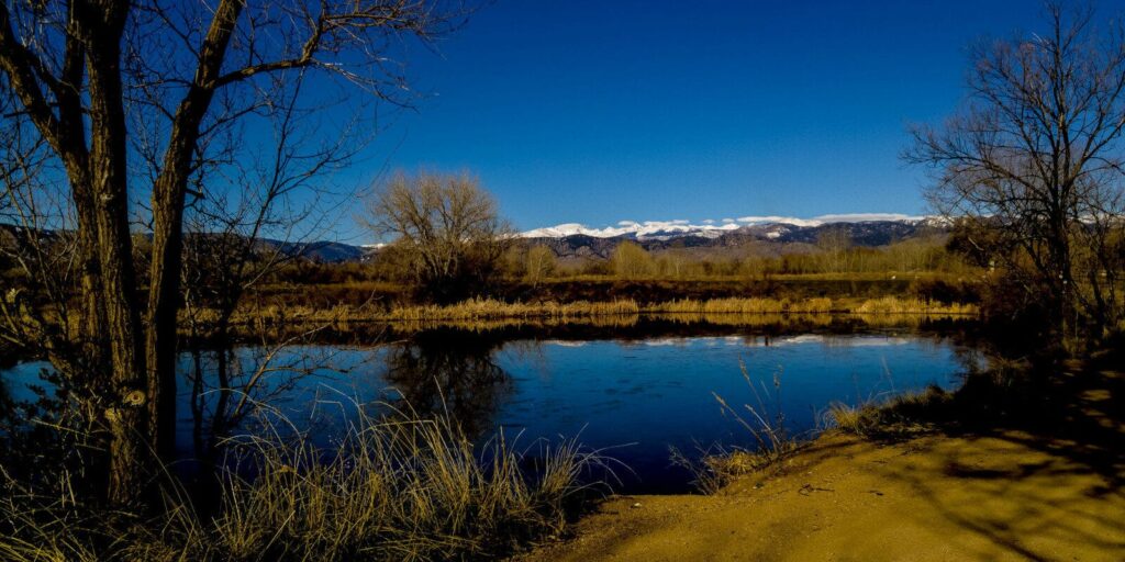 Uncovering the Serene Beauty of Walden Ponds: Boulder's Best-Kept Secret