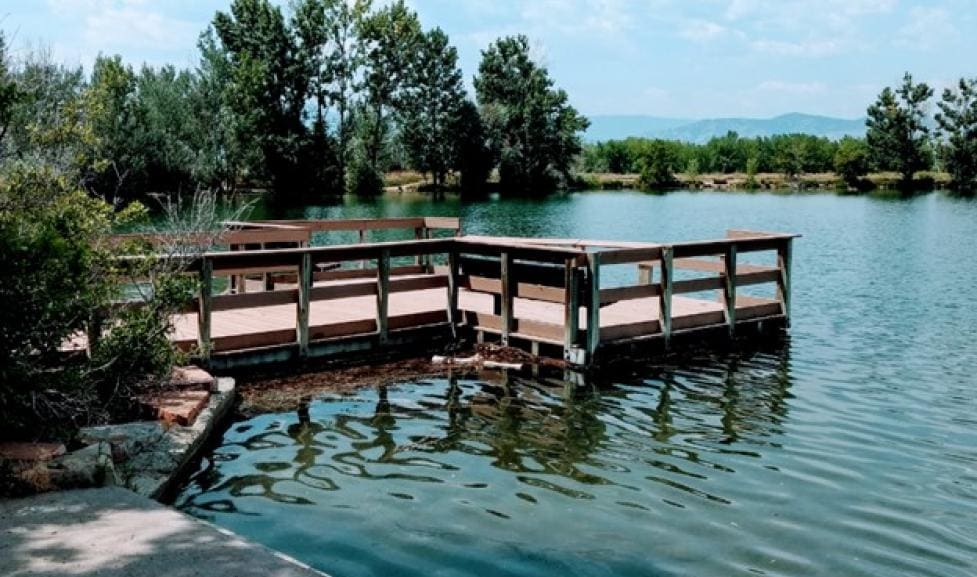 Unleash the Fun: Exploring Coot Lake - Boulder's Ultimate Dog-Friendly Destination