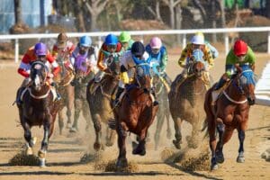 The Most Expensive Horses and Horse Races in History - AboutBoulder.com