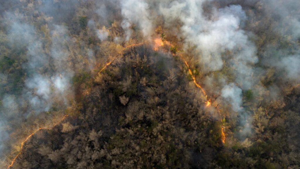 The Hidden Dangers of Forest Fire Smoke: What You Need to Know for Your Health