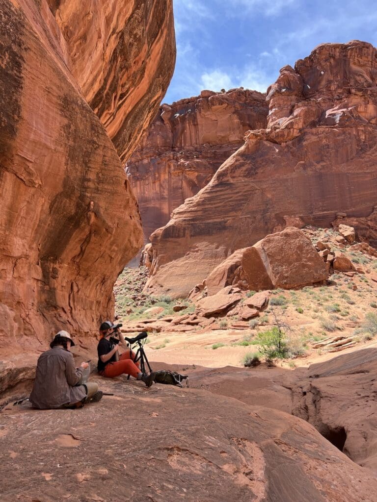 The_Enigmatic_Owls_of_Boulder:_A_Closer_Look_at_Colorados_Majestic_Raptors