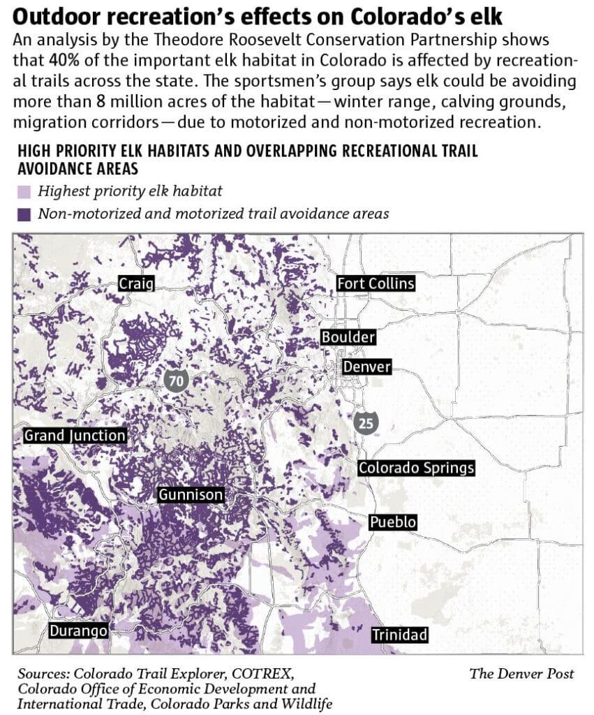 The Unexpected Elk Population of Boulder, Colorado: A Wildlife Mystery Uncovered