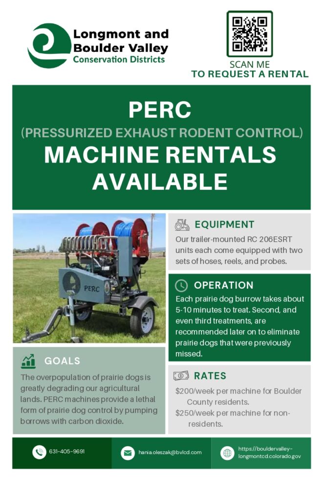The_Canine_Connection:_Exploring_the_Surprising_Bond_Between_Boulder_Residents_and_Their_Furry_Companions