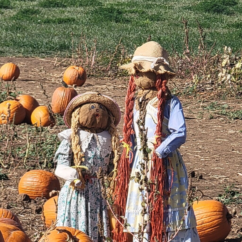 The Spooky and Spectacular Faces of Boulder: Halloween Edition