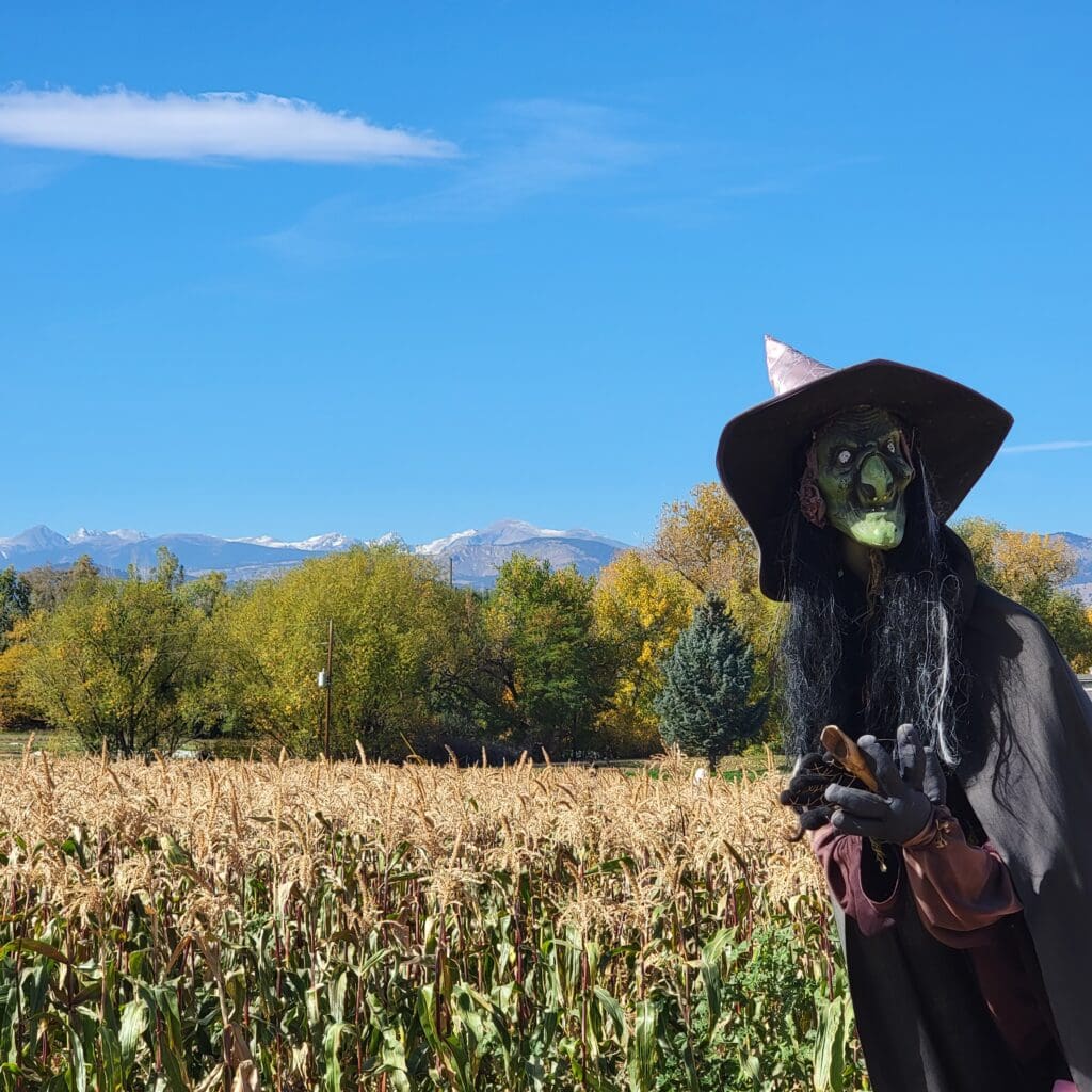 The Spooky and Spectacular Faces of Boulder: Halloween Edition