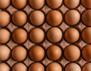 Why Fresh Eggs Are a Must-Have for Delicious and Nutritious Meals - AboutBoulder.com