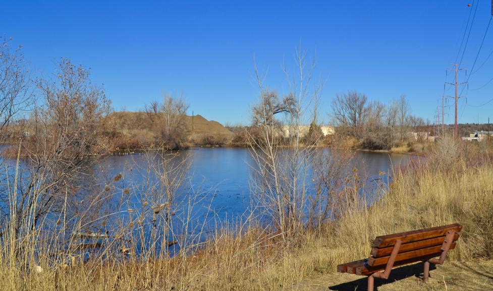 Exploring the Hidden Gems of Boulder's Saw Hill Ponds: A Nature Lover's Paradise
