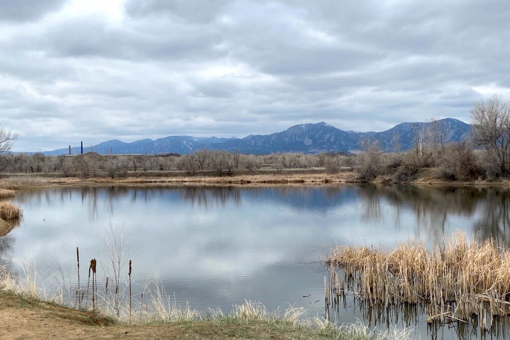 Exploring the Hidden Gems of Boulder's Saw Hill Ponds: A Nature Lover's Paradise