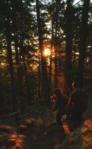 man and woman walking towards trees