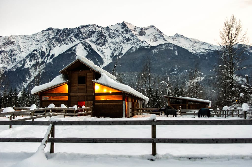 How to Winterize Your Farm or Edible Garden - AboutBoulder