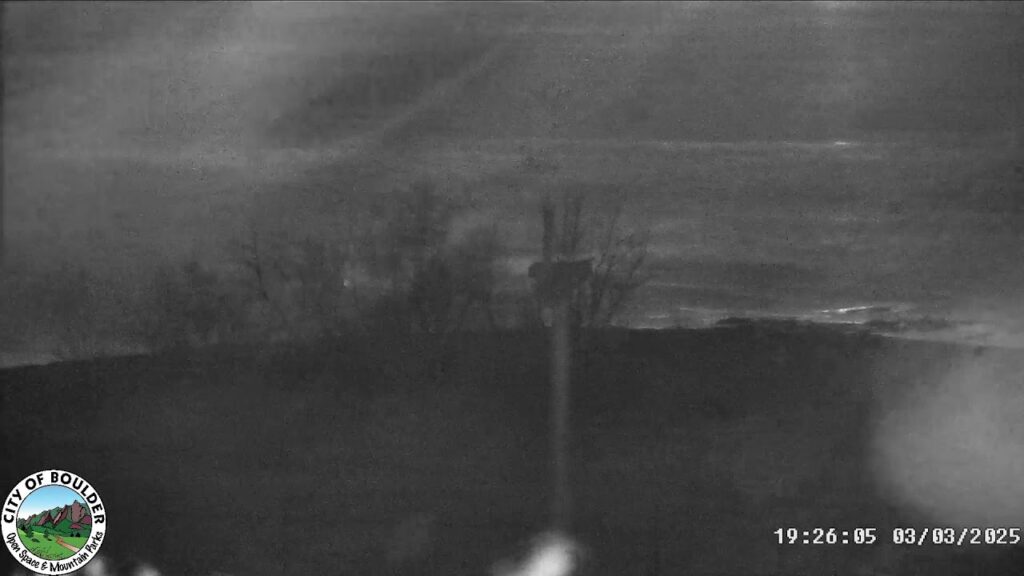 Capturing the Majestic Ospreys of Boulder: A Guide to the OSMP Osprey Cam