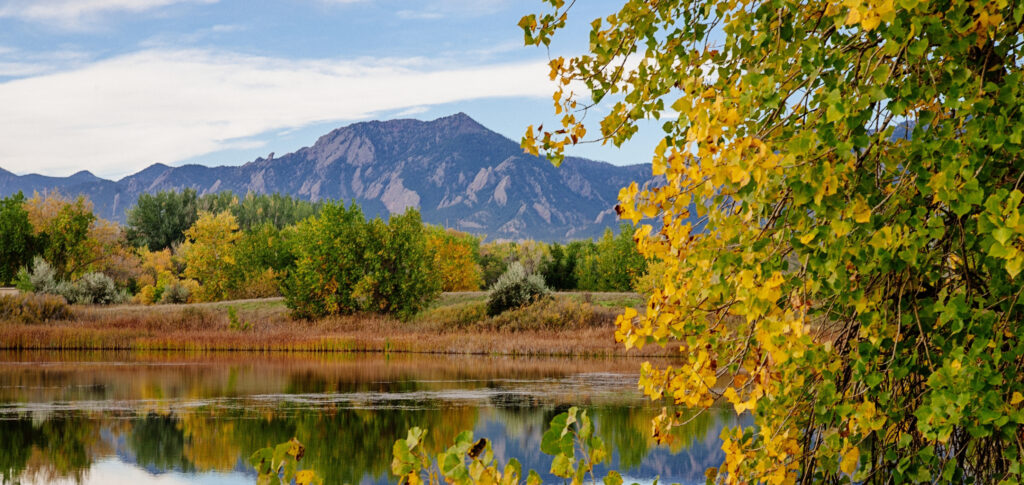 Exploring_the_Diverse_Spring_Wildlife_of_Boulder,_Colorado:_A_Guide_for_Nature_Enthusiasts