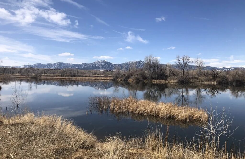 The Ecological Importance of Wetland Restoration at Sawhill Ponds Wildlife Preserve