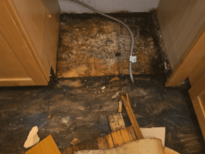 Despite Boulder’s $66M Flood Investment, Water Damage Restoration Demand Remains High Across the County - AboutBoulder