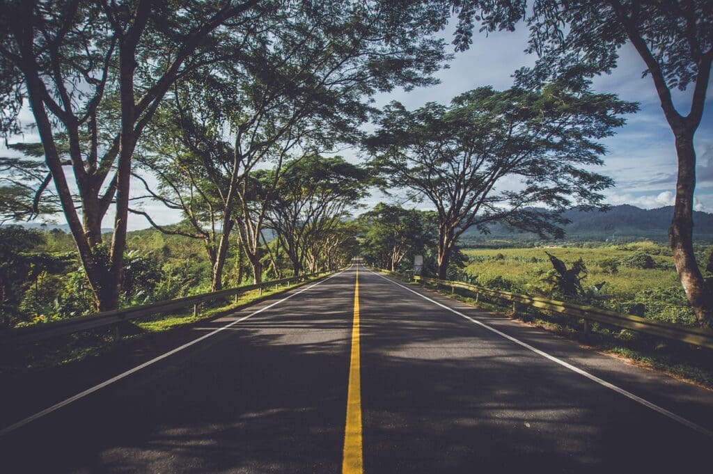 asphalt, street, trees, avenue, tree lined, road, highway, landscape, roadway, nature, rural, scenic, travel, woods, countryside, straight