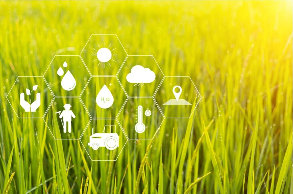 Farming In Boulder How AgTech Is Changing Colorado Agriculture - AboutBoulder.com