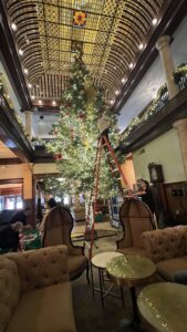 Tree with ladder being decorated