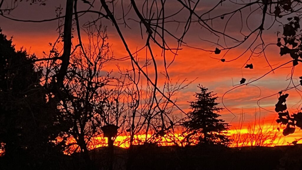 The red-yellow sunrise