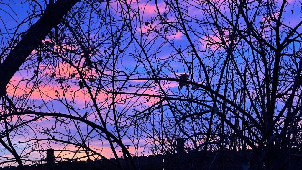 Blue and red winter sunrise