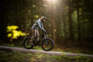 A biker is riding through a sunlit forest.