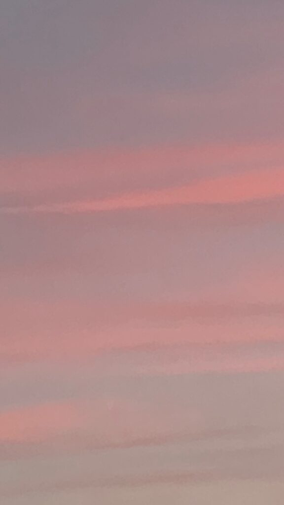 Pinks and blues as the sun rises