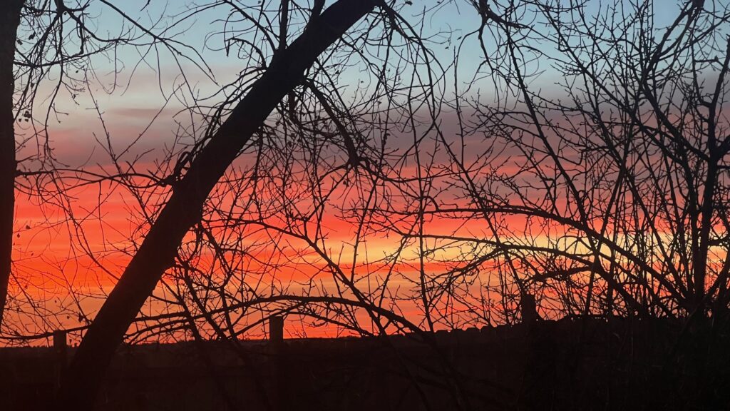 Blue Of The Morning Sky With The Last Of The Pink