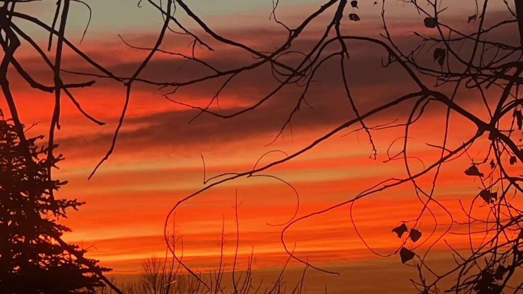 Reds, yellows, and burnt umber add to the show