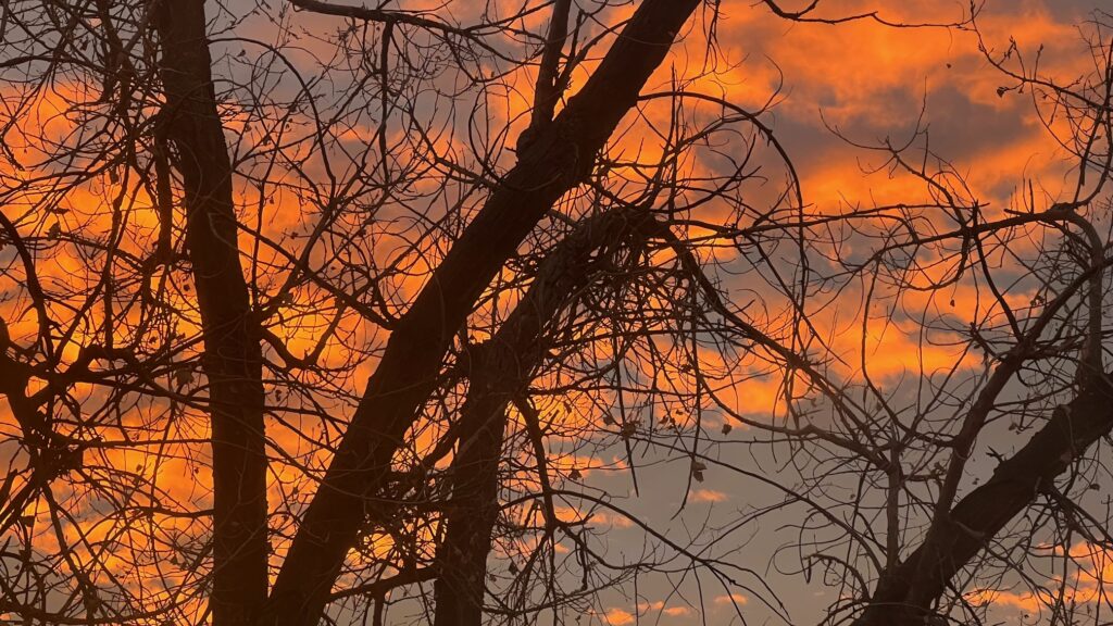 Boulder Sunrises Are always different