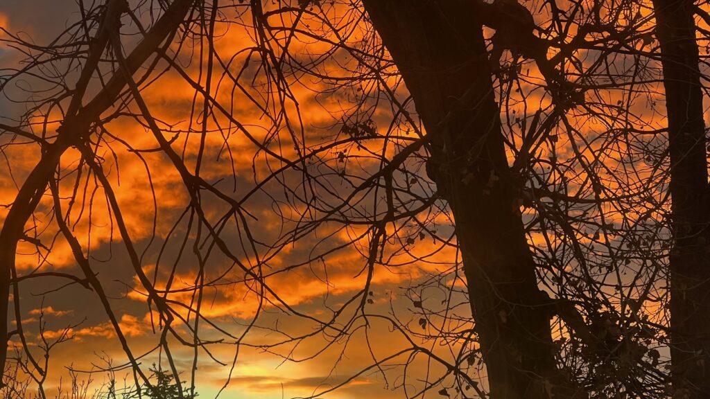 Before the blues, Boulder Sunrises are predominantly red.