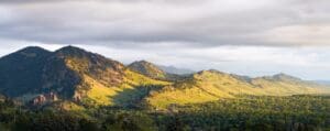 A view of a mountain range with trees in the foreground