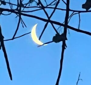 Cropped version of the same picture. The moon pops and the silhouette pops. Photo: Lenny "Lensworth" Frieling