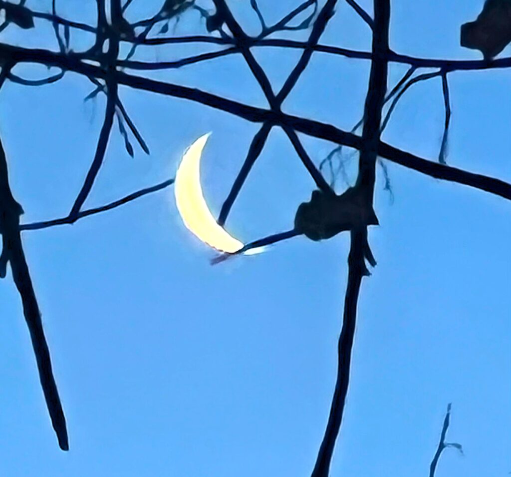 Cropped version of the same picture. The moon pops and the silhouette  pops. Photo: Lenny "Lensworth" Frieling 