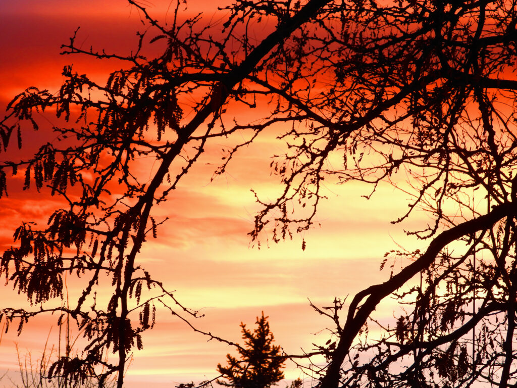 Weaving Bands For The Composition/ :Photo Lenny "Lensworth" Frieling.