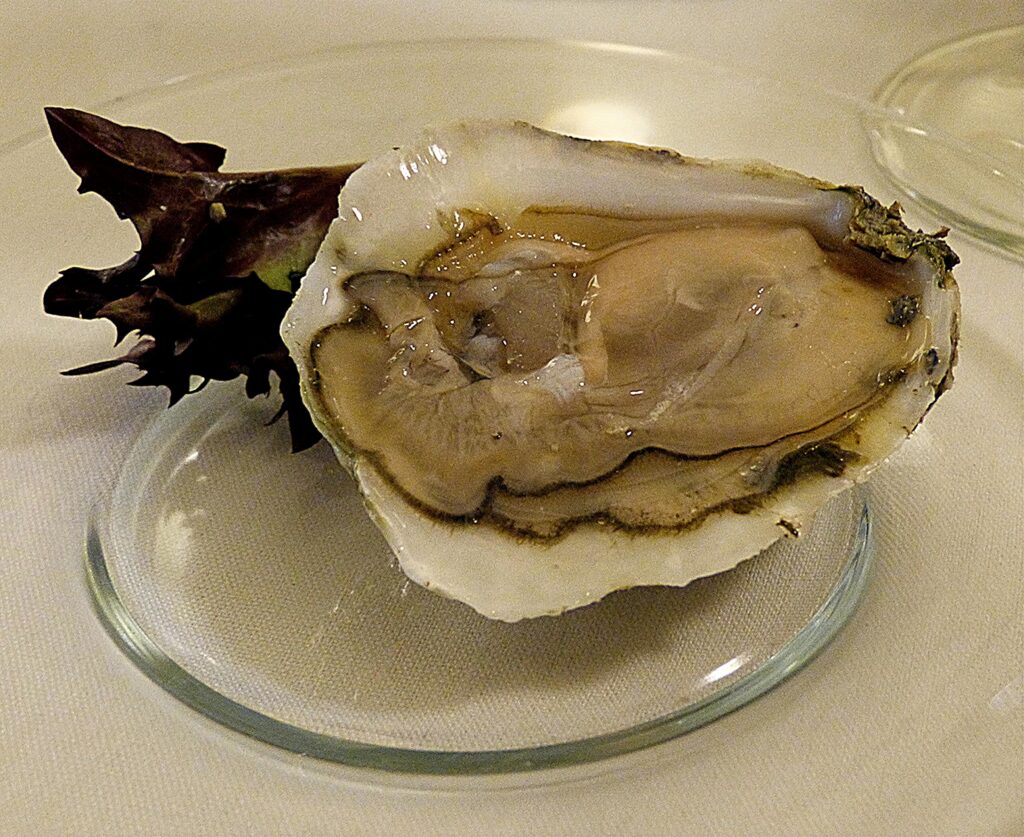 Raw Oyster At The Greenbriar Is Part Of The Baccarat History. Photo: Lenny "Lensworth" Frieling