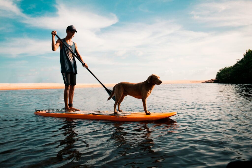 Beginner's Guide to Paddleboarding in Colorado - AboutBoulder.com
