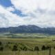 green grass field with mountains during daytime