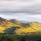 A view of a mountain range with trees in the foreground