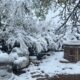 Spring May snow storm, Lafayette