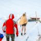 walrus, winter swimming, hardening