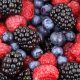 berries, free background, wallpaper hd